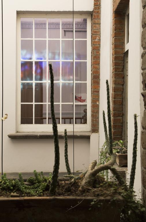 メキシコシティ エル パティオ 77 B ＆ B Bed & Breakfast エクステリア 写真