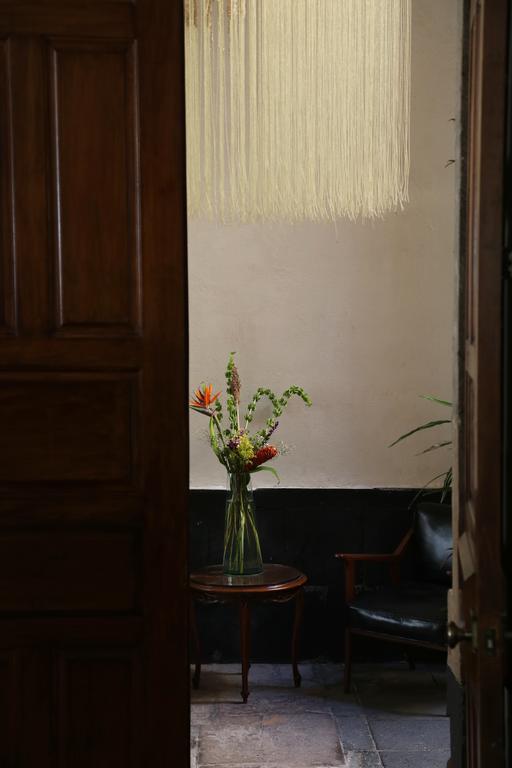 メキシコシティ エル パティオ 77 B ＆ B Bed & Breakfast エクステリア 写真